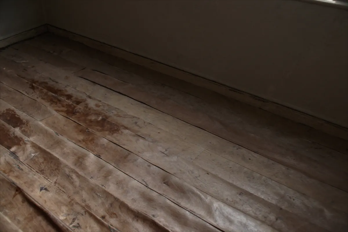 Water damaged oak boards, cupped and stained dark along the joints, with gaps opening between them